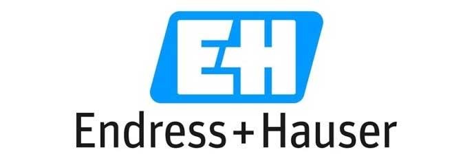 Endress Hauser Group